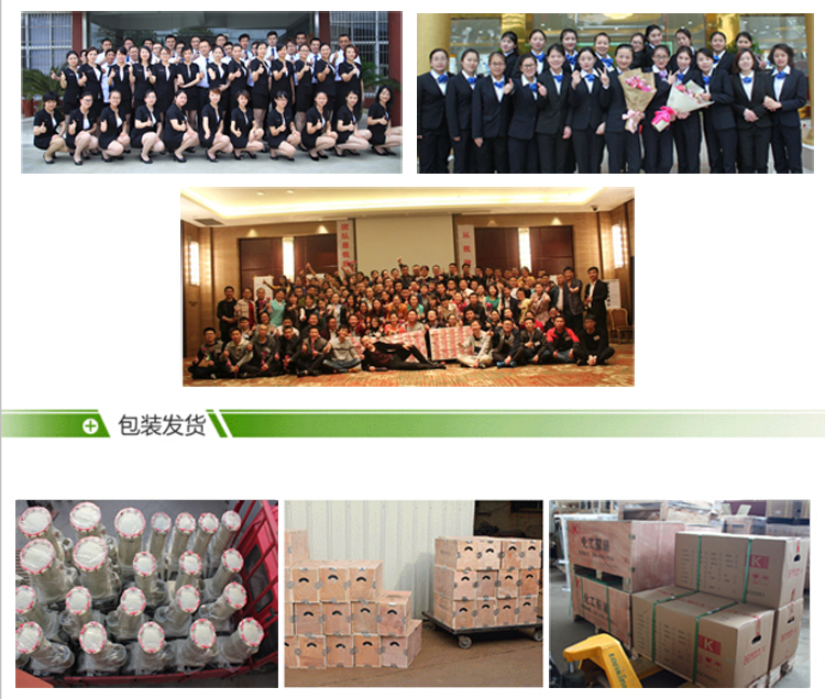 耐腐蝕氟塑料離心泵廠家團(tuán)隊圖片